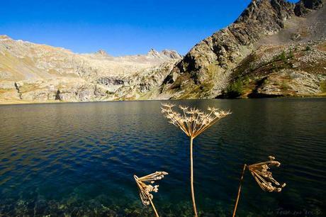 Lacs de Vens par le col du Fer : sublime rando de fin d’été ! Lacs de Vens par le col du Fer : sublime rando de fin d’été !