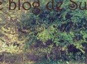 Blog Moment Graines Souris