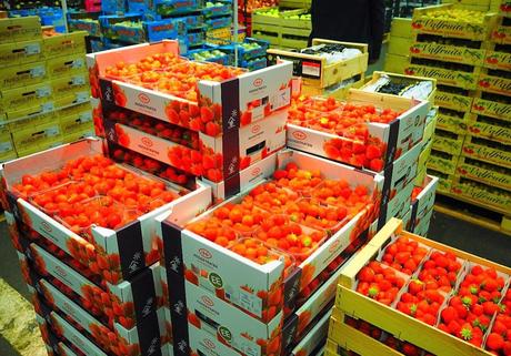 MIN Rungis fruits fraises