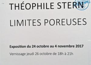 Galerie du CROUS Paris  Exposition Théophile STERN  « Limites Poreuse » 24 Octobre au 4 Novembre 2017