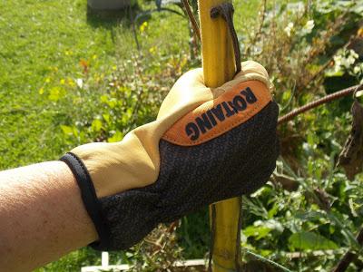 Test des gants de jardin Rostaing Pro Séquoia