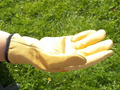 Test des gants de jardin Rostaing Pro Séquoia