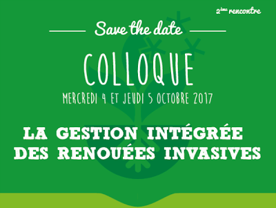 Pour une gestion intégrée des renouées invasives