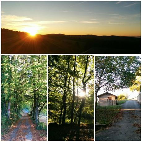 Une petite gorgée qui explique bien des choses