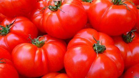 Les Tomates (suite)