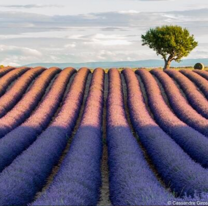 La photographie du jour