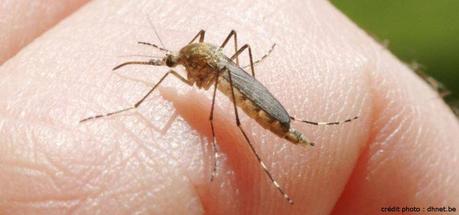 La diarrhée du voyageur : guide de survie Comment se protéger des moustiques en voyage