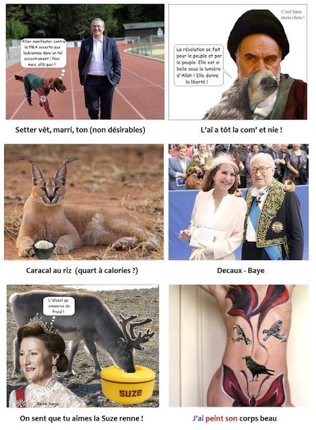 CES ANIMAUX QUI ANIMENT MOTS - IX