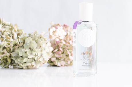 Favoris et Nouveautés de la rentrée