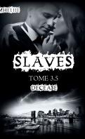Slaves #6.5 – Louis – Amheliie