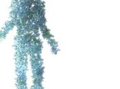 MICROBIOMES toute première carte paysage microbien