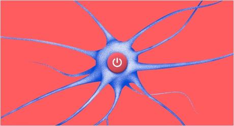 OPTOGÉNÉTIQUE : La protéine capable d’activer le neurone