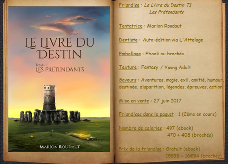 Le Livre du Destin T1 - Les Prétendants - Marion Roudaut