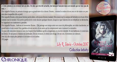 Étoile de Brume – Lily R. Davis