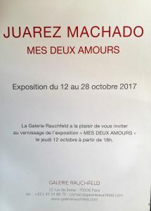 Galerie Rauchfeld  exposition JUAREZ MACHADO  » Mes deux amours » jusqu’au 28 Octobre 2017