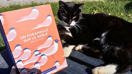 Un funambule sur le sable – Gilles Marchand Un funambule sur le sable – Gilles Marchand