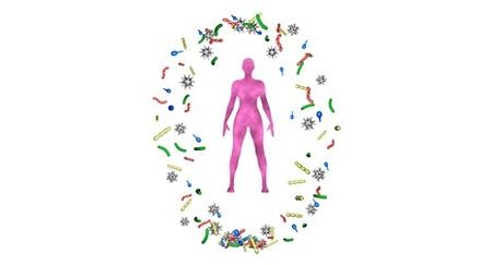 MICROBIOME et CANCER : Déséquilibres bactériens et risque de cancer du sein MICROBIOME et CANCER : Déséquilibres bactériens et risque de cancer du sein