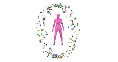 MICROBIOME et CANCER : Déséquilibres bactériens et risque de cancer du sein