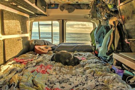 Tout quitter pour voyager avec son chat dans un camping-car