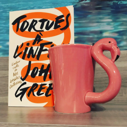 Tortues à l’infini • John Green : le roman de l’automne qu’on attendait tous ! Tortues à l’infini • John Green : le roman de l’automne qu’on attendait tous !