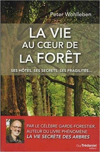 foret.jpg