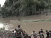 Inondations Thaïlande, spéctaculaire sauvetage d'un éléphant (vidéo)