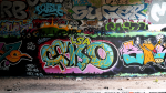 EKO – Le graffiti dans la peau