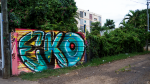 EKO – Le graffiti dans la peau
