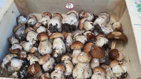 Salade haricots verts et cèpes frais