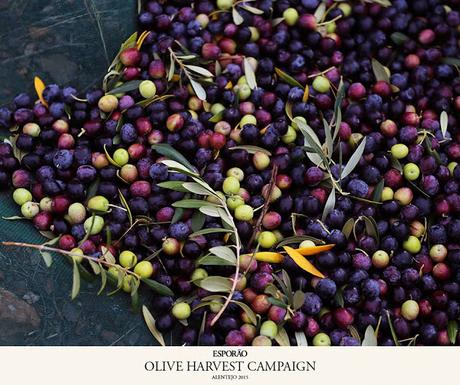 Les huiles d'olive Esporão : une touche du Portugal dans votre assiette