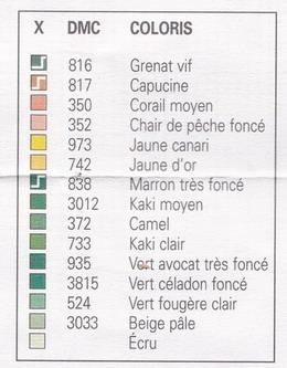 coton pour poinsettia bis