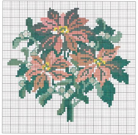 Poinsiettia ter pour blog