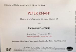 Galerie Berthet-Aittouarès   exposition PETER KNAP 2/19 Novembre 2017