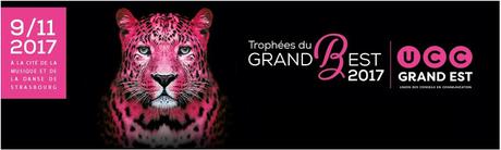 Les Trophées du Grand BEst, c'est 9 novembre 2017, à Strasbourg ! Les Trophées du Grand BEst, c'est 9 novembre 2017, à Strasbourg !
