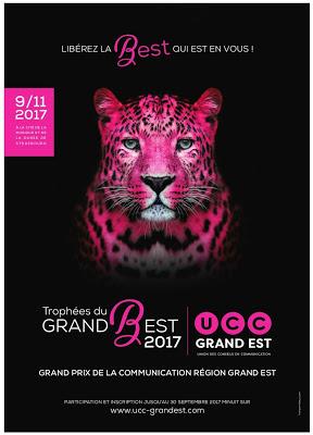 Les Trophées du Grand BEst, c'est 9 novembre 2017, à Strasbourg ! Les Trophées du Grand BEst, c'est 9 novembre 2017, à Strasbourg !