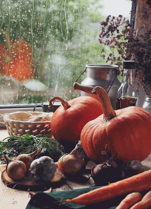 Inspirations d'automne