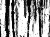 Serge Airoldi Névés