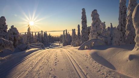 Le pays du père noël , la Laponie