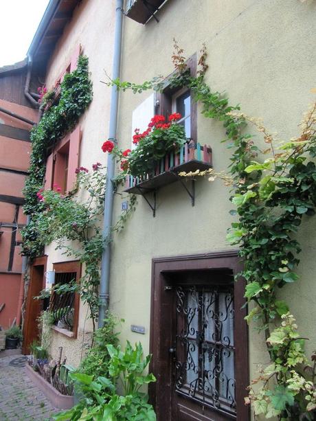 La France - Eguisheim - 2