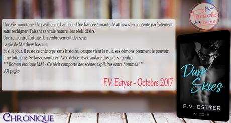Dark Skies – F.V. Estyer