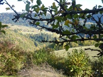 bois de chauffage, forêt, campagne, jura, bois, ramures, frêne, brouette, poème, blog littéraire de christian cottet-emard, poèmes du bois de chauffage, estime-toi heureux, éditions orage lagune express, littérature, christian cottet-emard, septième poème du bois de chauffage, haut-jura, saison, automne, hiver, vent, textes sous copyright, droits réservés, notaire, poésie, grosse pierre, minéral, pierre, photographie, serrure, bricolage, rose, fleur, roses de septembre, stère, camion, benne, café