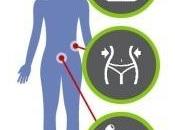 PERTE POIDS: probiotiques, l'autre option naturelle prometteuse