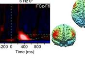STIMULATION CÉRÉBRALE Vous prendrez bien coup turbo pour cerveau