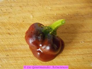 Poivron et tomates farcis à la carotte (Vegan)