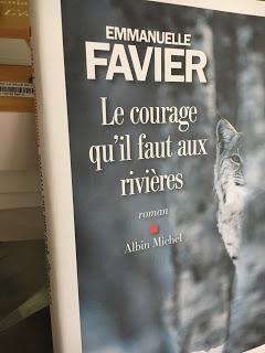 Le courage qu'il faut aux rivières, Emmanuelle Favier