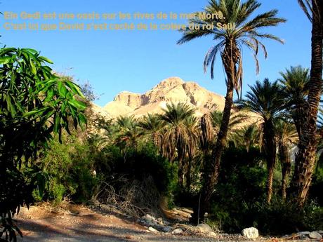 Pays Etranger - La mer morte 2