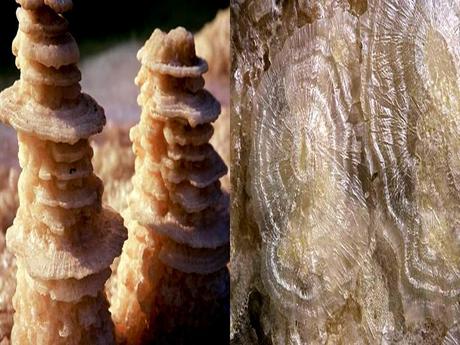 Pays Etranger - La mer morte 2