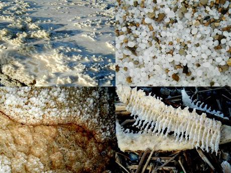 Pays Etranger - La mer morte 2