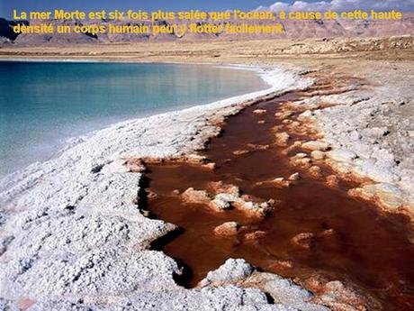 Pays Etranger - La mer morte 2