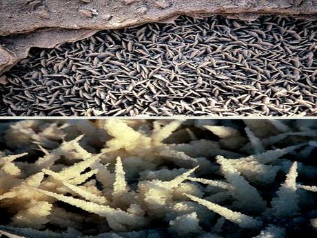 Pays Etranger - La mer morte 2